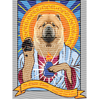 Animal Integration-DW 1022